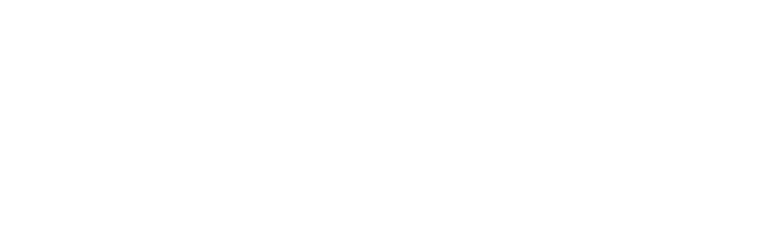 Polini Parts Logo