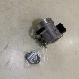 Tryton Carburetor for 303